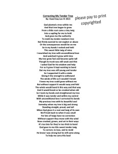 Correcting My Tender Tree Poem