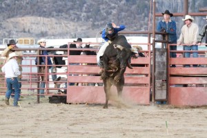 IMG_804708419214103